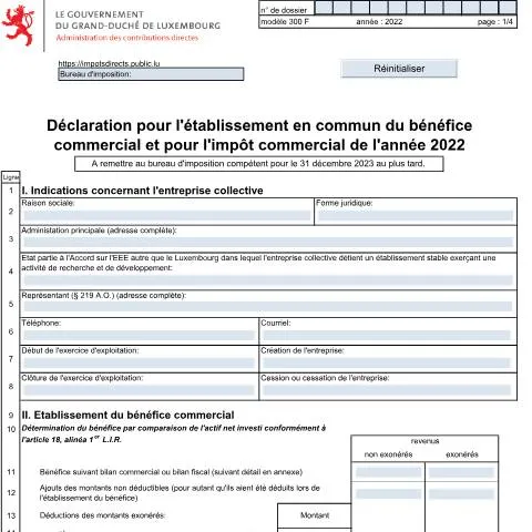 Aperçu du document Comprendre la déclaration 300 F pour les entreprises collectives — Impôts & fiscalité (CERFA n°300 F)