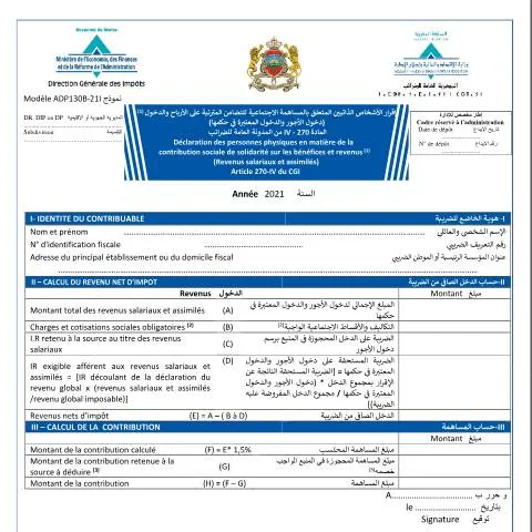 Aperçu du document Déclaration des personnes physiques pour la contribution sociale de — Impôts & fiscalité (CERFA n°ADP130B-21I)