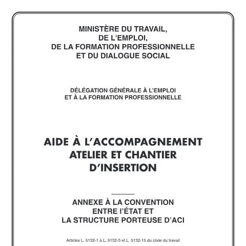 Aperçu du document Financement des ateliers et chantiers d'insertion : guide complet — Emploi & travail (CERFA n°12612*03)
