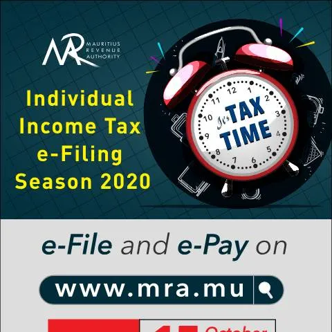 Document preview: Navigating the Individual Income Tax e-Filing Season 2020 — Taxes (CERFA n°PressAdvertFilingSeason2020)