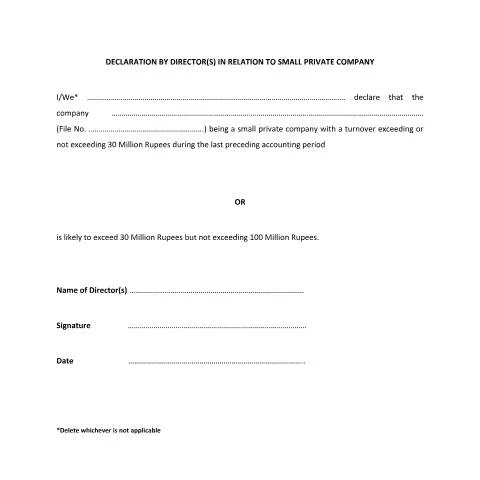 Document preview: Understanding the Declaration by Directors for Small Private Companies — Government & admin (CERFA n°Declaration-by-directors-Small-Private-Company)