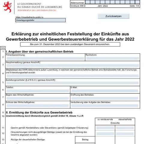 Aperçu du document Comprendre la déclaration 300 D pour entreprises collectives — Impôts & fiscalité (CERFA n°300 D)