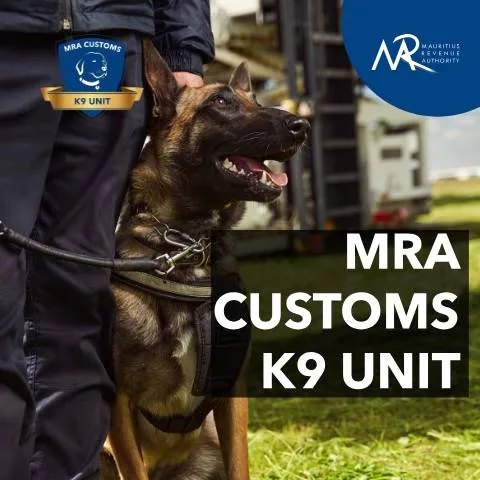 Document preview: Understanding the MRA Drug Detector Dogs Document — Government & admin (CERFA n°MRADrugDetectorDogs)