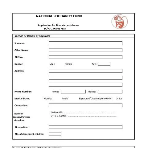 Document preview: Navigating Financial Aid for SC & HSC Examinations — Government & admin (CERFA n°SC-HSC)