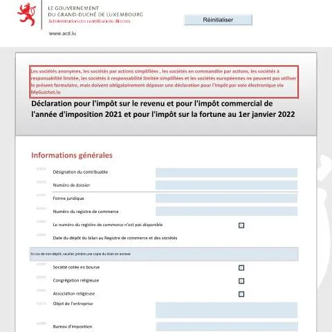 Aperçu du document Comprendre la Déclaration 500 F au Luxembourg — Impôts & fiscalité (CERFA n°500 F)