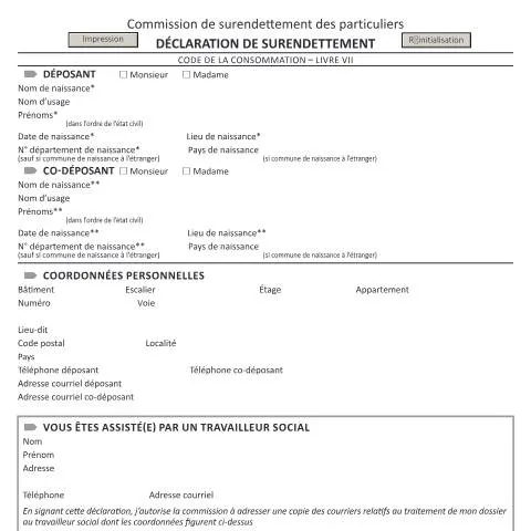 Aperçu du document Formulaire 13594*02 : déposer sa déclaration de surendettement — Impôts & fiscalité (CERFA n°13594*02)