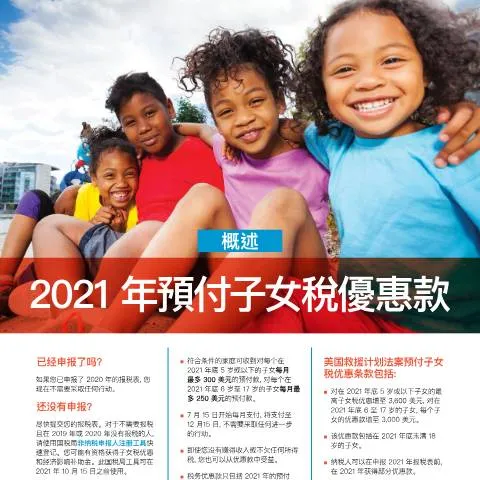 Document preview: Maximize Your Child Tax Credit with IRS Publication 5534ZHT — Taxes (CERFA n°PUB-5534ZHT)