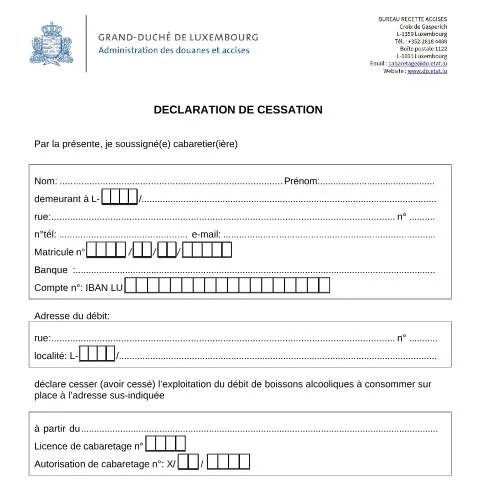 Aperçu du document Comprendre la Déclaration de cessation d'activité — Démarches administratives (CERFA n°cessation)
