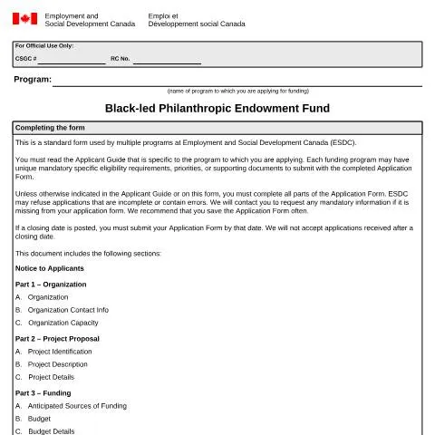Document preview: Navigating the Black-led Philanthropic Endowment Fund Application — Work & employment (CERFA n°EMP5696)
