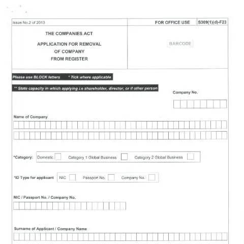 Document preview: The F23 Form: Key to Successfully Deregistering Your Company — Government & admin (CERFA n°F23-2)