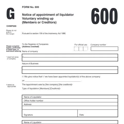 Document preview: Understanding the Role of Form 600 in Voluntary Liquidation — Business