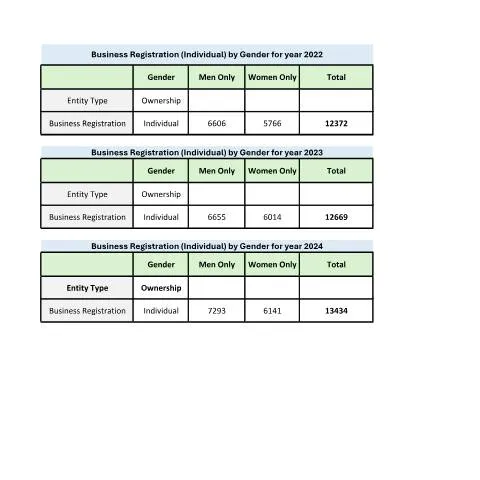 Document preview: Understanding Gender-Based Business Registration in Mauritius — Business (CERFA n°Business-Registration-Individual-by-Gender)