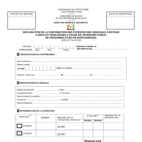 Aperçu du document Comprendre la Déclaration de la Patente en Côte d'Ivoire — Impôts & fiscalité