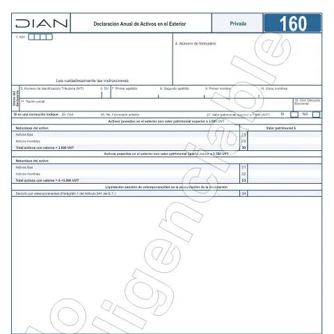 Vista previa del documento Guía sobre la Declaración F160-2024 de Activos en el Exterior — Impuestos (CERFA n°F160-2024)