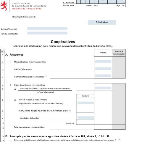 Aperçu du document Tout savoir sur l'Annexe 520 F pour les Coopératives — Démarches administratives (CERFA n°520 F)