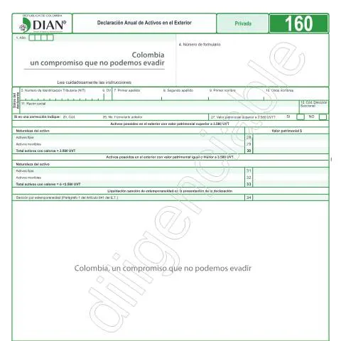 Vista previa del documento Importancia de la Declaración Anual de Activos en el Exterior — Impuestos (CERFA n°F160-2018)