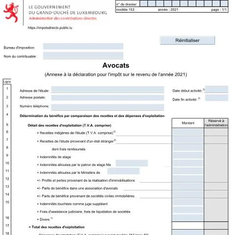 Aperçu du document Comprendre l'Annexe 153 pour les avocats au Luxembourg — Démarches administratives (CERFA n°153)