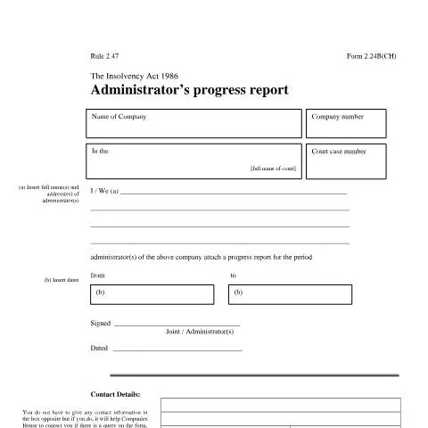 Document preview: Understanding the Administrator's Progress Report 2.24B(CH) — Government & admin