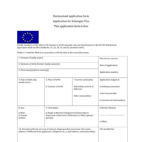 Document preview: Forstå VS1 - Din guide til Schengen Visa ansøgning — Immigration & visa (CERFA n°VS1)