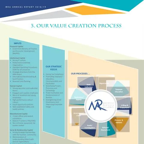 Document preview: Navigating the Value Creation Process in Mauritius — Business (CERFA n°AR1819-3)