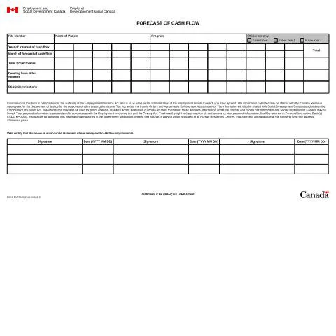 Document preview: Understanding the EMP5216 Cash Flow Forecast Form — Work & employment (CERFA n°EMP5216)