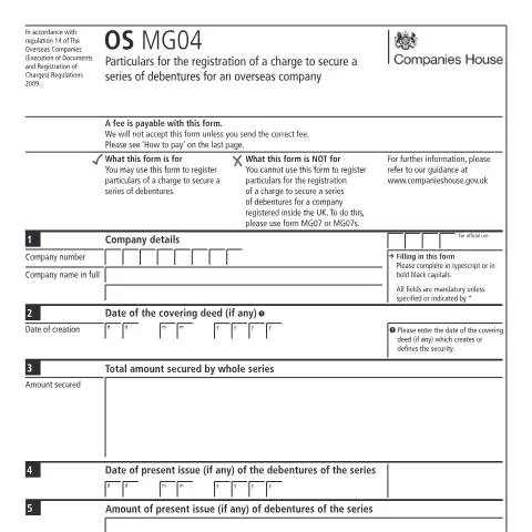Document preview: Essential Guide to OS MG04 for Overseas Companies — Government & admin