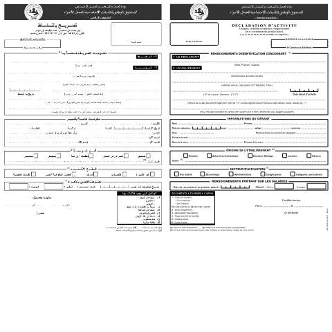 Aperçu du document Comprendre la déclaration d'activité IM-03 en Algérie — Emploi & travail (CERFA n°IM-03)
