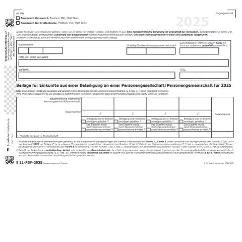 Dokumentvorschau: Wesentliche Informationen zum E11 Formular für 2025 — Steuern (CERFA n°E11)