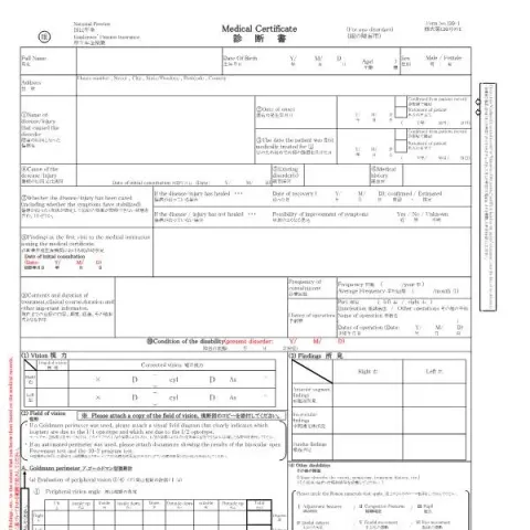 Document preview: 眼の障害用診断書(様式第120号の1)について — 退職と年金 (様式第120号の1)