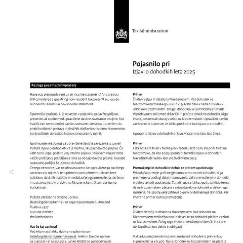 Documentvoorvertoning: Gids voor de Inkomensverklaring 2025 in Nederland — Belastingen (CERFA n°ib0591t51plslv)