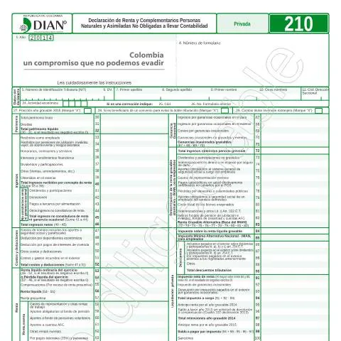 Vista previa del documento Importancia de la Declaración de Renta F210-2015 en Colombia — Impuestos (CERFA n°F210-2015)