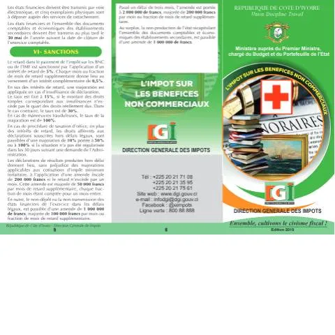 Aperçu du document L'Impt BNC 1 : Un guide pour les professionnels libéraux — Impôts & fiscalité