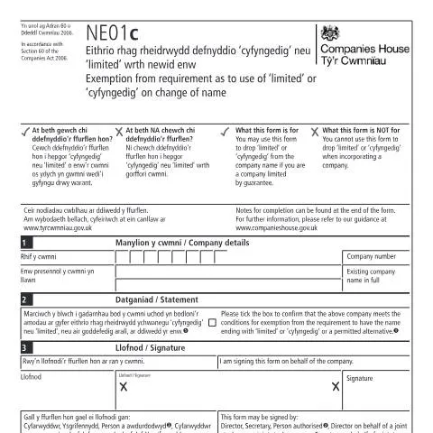 Document preview: Navigating the NE01c Form for Company Name Exemption — Government & admin