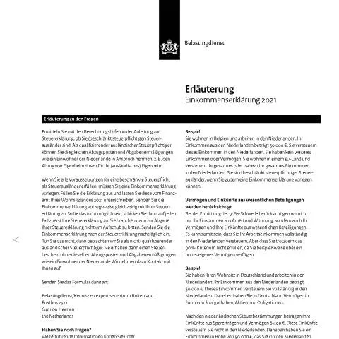 Documentvoorvertoning: Belang van de inkomensverklaring bij belastingaangifte — Belastingen (CERFA n°ib0591t11pldui)