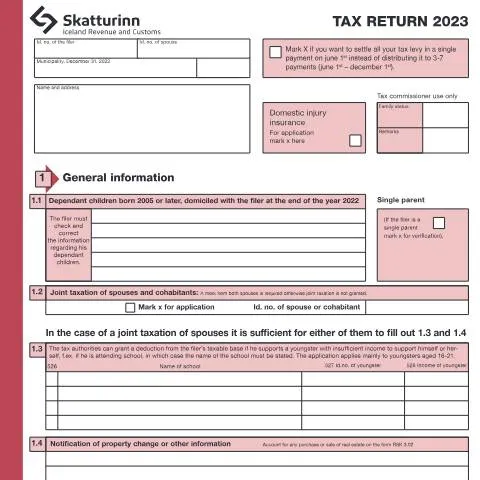 Document preview: Skattaskýrsla einstaklinga RSK 1.10 fyrir árið 2023 — Skattar & fjármál (CERFA n°RSK 1.10)