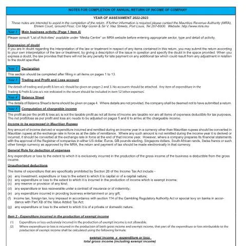 Document preview: Navigating the 2022-2023 Annual Return of Income Form — Government & admin (CERFA n°NotesCT03_2223)
