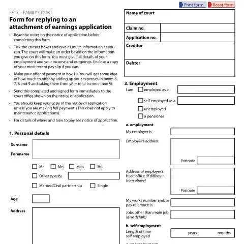 Document preview: Navigating Form FE17 in Family Court Applications — Legal & justice