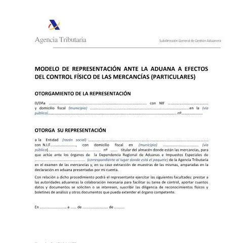 Vista previa del documento Importancia del Modelo de Representación en Importaciones — Aduanas y comercio