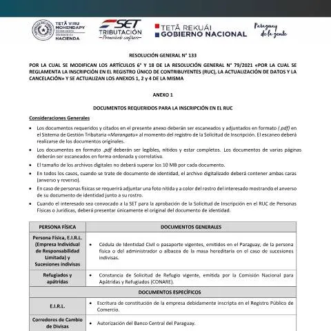 Vista previa del documento Cómo completar el Anexo RG 133-2023 del RUC en Paraguay — Trámites administrativos