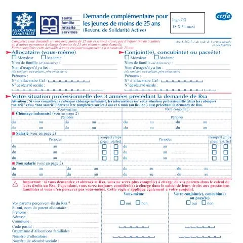 Aperçu du document Formulaire 14130*02 : demande RSA complémentaire jeunes adultes — Aides & prestations sociales (CERFA n°14130*02)