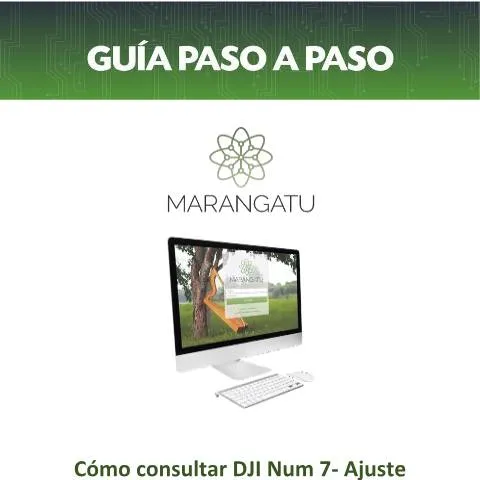 Vista previa del documento Cómo consultar la Declaración Jurada de Ajuste de Precios de — Trámites administrativos