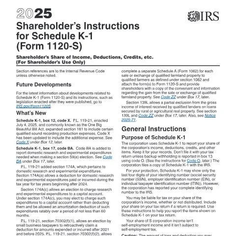 Document preview: Understanding Schedule K-1 Instructions for S Corporations — Taxes (CERFA n°INST-1120SSK)
