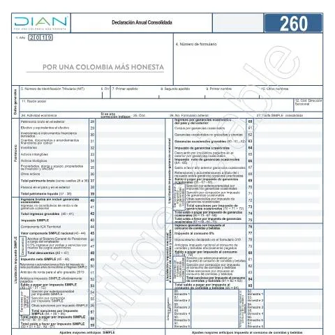 Vista previa del documento Guía para la Declaración Anual Consolidada 2020 en Colombia — Impuestos (CERFA n°F260-2020)