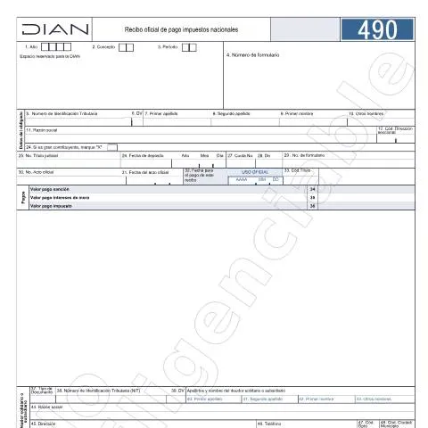Vista previa del documento Recibo oficial de pago de impuestos nacionales 2025 — Impuestos (CERFA n°F490-2025)