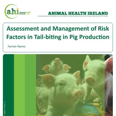 Document preview: Understanding the Tail Biting Risk Factor Assessment in Pig Farming — Government & admin