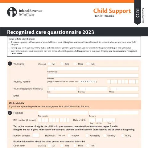 Document preview: Navigating the Recognised Care Questionnaire for Child Support — Legal & justice (CERFA n°IR120)