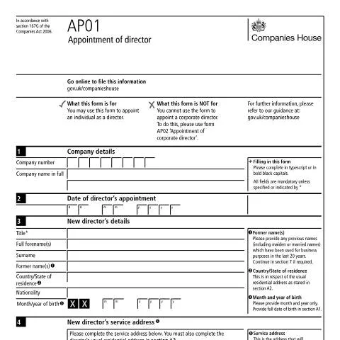 Document preview: Director Appointment Framework for UK Societas Companies — Business