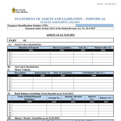 Document preview: Understanding the Statement of Assets and Liabilities for 2022 — Taxes (CERFA n°Asmt_IIT_003_2022)