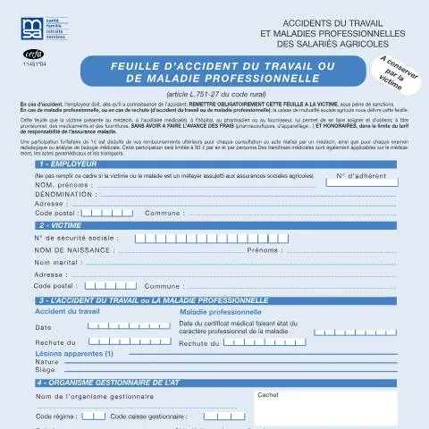 Aperçu du document Déclaration d'accident du travail agricole : procédure et formulaire — Santé (CERFA n°11451*04)