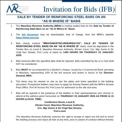 Document preview: Understanding the Bidding Process for Steel Bars — Government & admin (Bids100125)